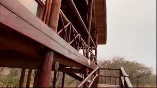 Watch Outdoor sex on the balcony French brunette Clea Gaultier - MySexMobile on &period;com&comma; the best hardcore porn site&period;  is home to the widest selection of free Brunette sex videos full of the hottest pornstars&period; If you're craving mysexmobile XXX movies you'll find them here&period;